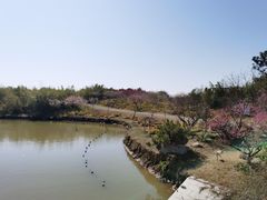 -上海海湾国家森林公园