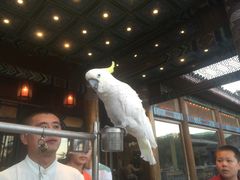 -那家小馆•北京菜•烤鸭(香山店)