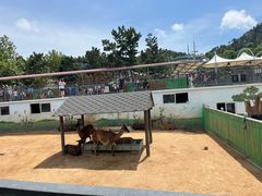 -西霞口神雕山野生动物世界