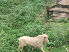 -泉州海丝野生动物世界