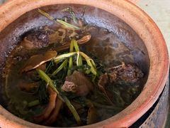 -霞姐屯昌枫木香草鸭店(海螺店)