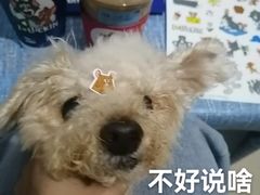 -瑞幸咖啡(深圳东门中心城店)