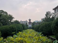 -四川大学(华西校区)