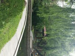 android_upload_pic-沈阳中山公园