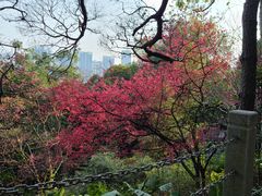 -乌山风景区