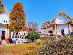 -报恩禅寺