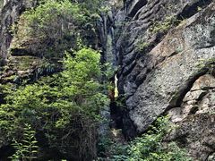 -汤旺河林海奇石景区