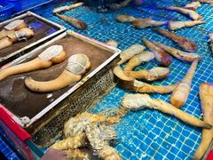 -驻海渔市(置信店)