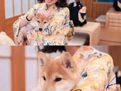 -豆柴町-柴犬主题狗咖(红鼎国际C座店)
