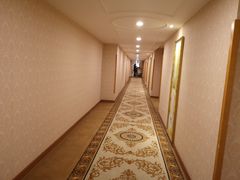 -维也纳酒店(南京奥体中心店)