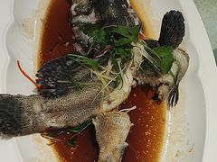 -德兴海鲜渔港(辉煌大厦店)