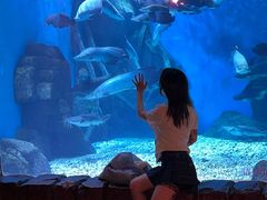 -多彩贵州城极地海洋世界