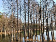 -青龙山国家森林公园