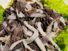 黑毛肚-杨家火锅(国美店)