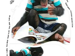 -广东电视台演播厅