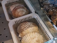 野生扇贝王-祥记餐饮•豫粤珍味(郑东新区新长安店)