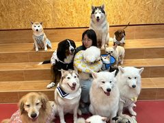 -和它·交个朋友·狗咖猫咖(爱琴海店)