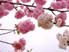 -盈香心动乐园