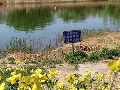 -大兴滨河森林公园