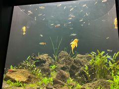 -成都浩海立方海洋公园