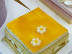 -可莎蜜儿(凤起2店)