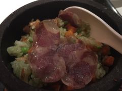 萝卜菜饭-西郊5号·Maggie 5