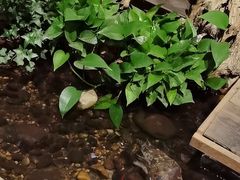 -邈墨茶馆(大兜路1号店)