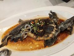 豉椒蒸软骨xun鱼-万龙洲海鲜(大兴绿地缤纷城店)