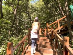 -大岭沟猕猴桃谷风景区