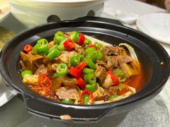 香辣牛筋煲-金枝玉叶上海人家食府(三里河店)