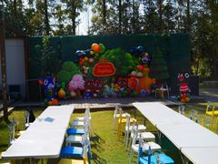 -前小桔亲子创意农场·草莓采摘·露营烧烤