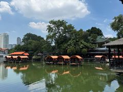 -侨美·唐荔园·40年地道粤菜