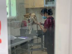 -美联众合动物医院·24h京西诊疗中心