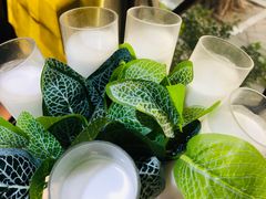 -探窝·竹笙椰子鸡(杨箕店)