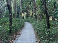 -深圳湾公园(南山区)