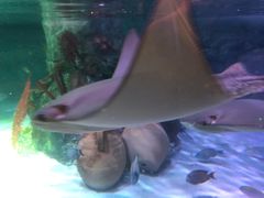 -沈阳海洋探索中心