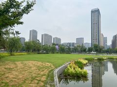 -金沙湖公园