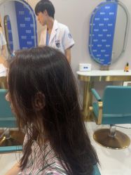 -碧莲盛不剃发植发