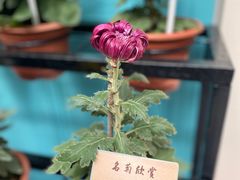 -小榄人家酒楼(民安店)