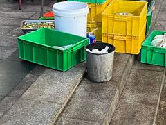 -二0二李记南瓜田鸡老字号(宜宾一店)