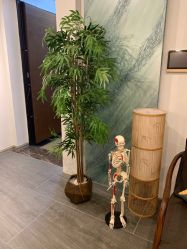 -SEAS小顏·日本小颜整骨美容サロン