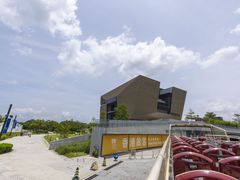 -Big Bus Tours 敞篷观光巴士