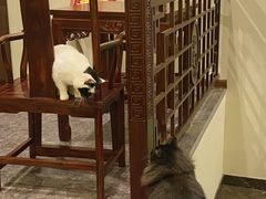 -一盃山水咖啡茶馆