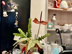 -PAUSE CAFE(南秀村店)