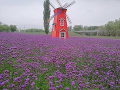 -黄河三峡风景名胜区