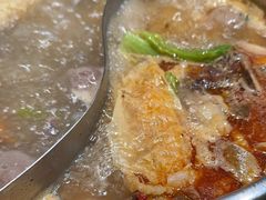 -掂档潮汕牛肉火锅(沈阳万象城店)