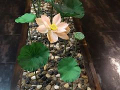 -素心斋素食餐厅