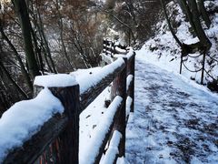 -少华山国家森林公园