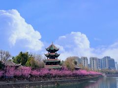 -望江楼公园