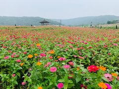 -凡花楼(拈花湾店)